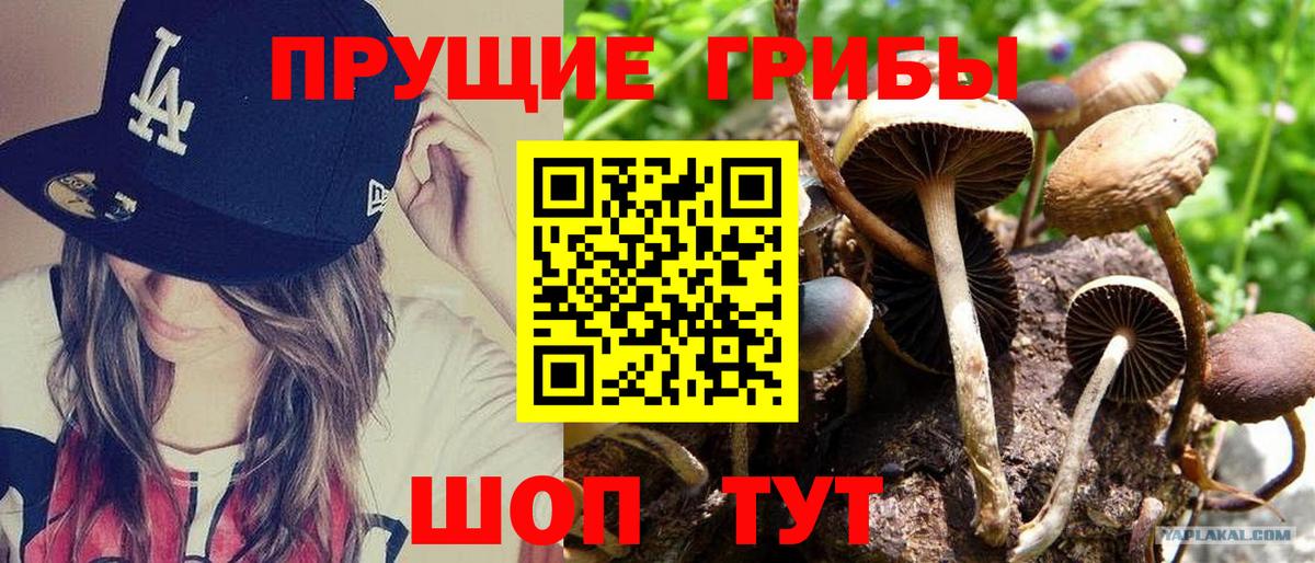 Псилоцибиновые грибы GOLDEN TEACHER Городец