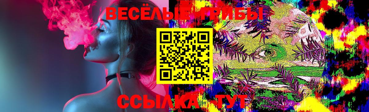 Псилоцибиновые грибы Magic Shrooms  Вход с VPN  Городец  Псилоцибиновые грибы Cubensis 